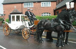 wedding7