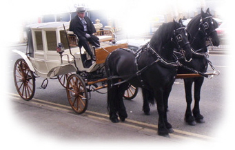 weddingcarriage